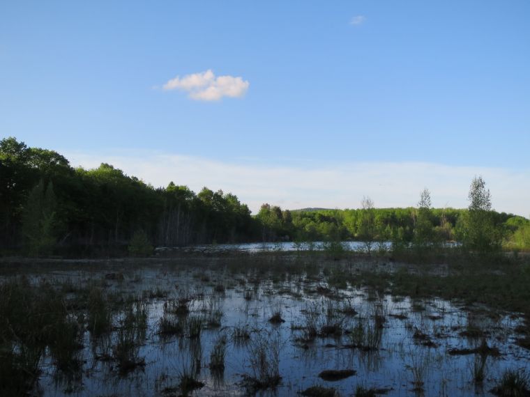 The northeast corner of the lake becomes a marsh. It was cool, so the mosquitoes were at a minimum.